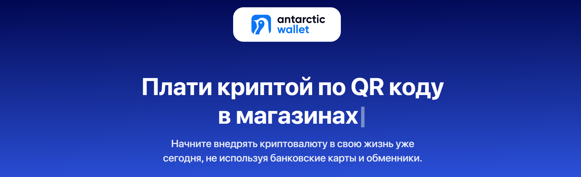 Antarctic Wallet